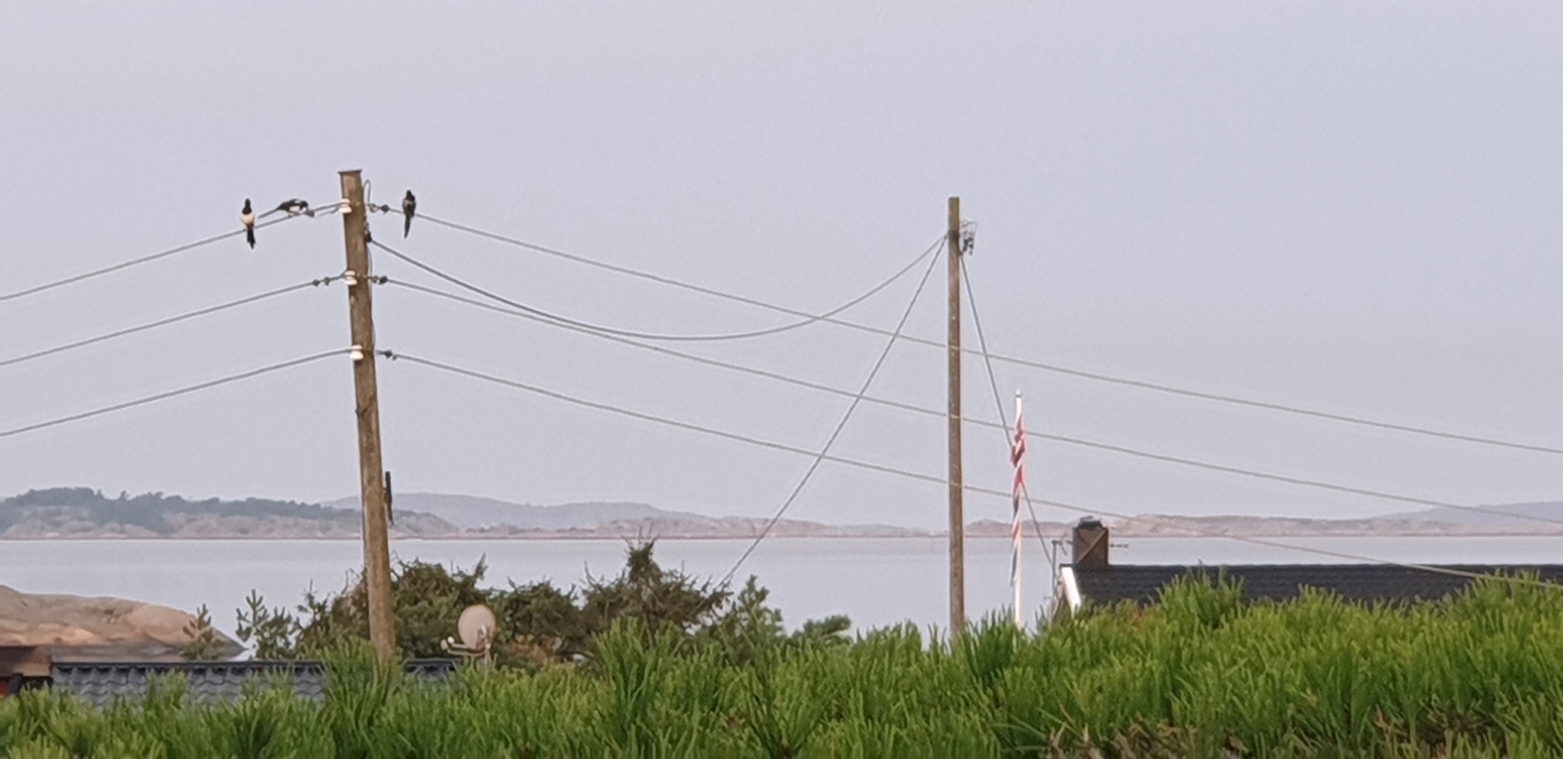 Årsmøtereferatet for 2019