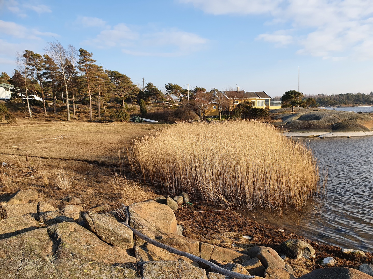 Referat fra Årsmøtet i Bjørnevågen Vel 2020
